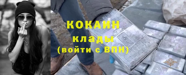 молекула духа Белоозёрский