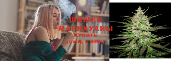 молекула духа Белоозёрский