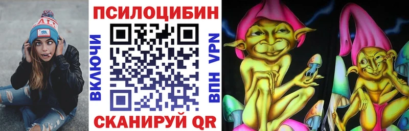Псилоцибиновые грибы мицелий  Буйнакск 